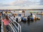 ESTUARY Swim is urging volunteers to help raise money for the charity.